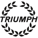 ANTIVOL DE ROUE TRIUMPH